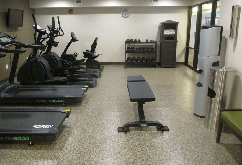 酒店 Best Western Harvest Inn & Suites