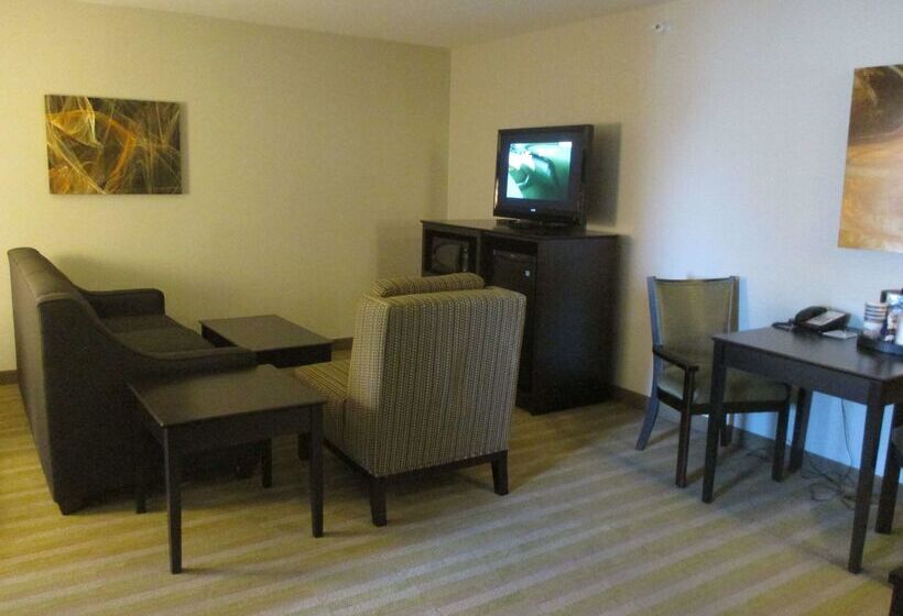 酒店 Best Western Harvest Inn & Suites