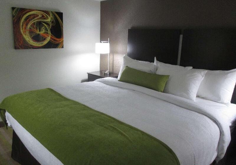 酒店 Best Western Harvest Inn & Suites