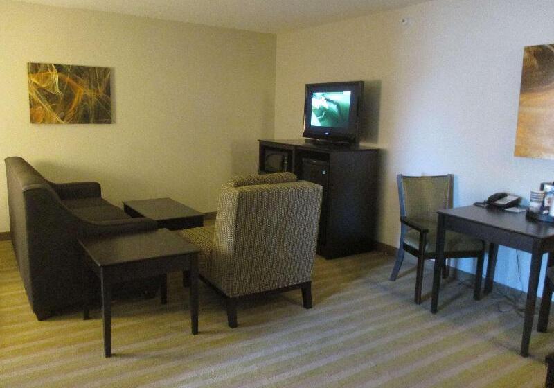 酒店 Best Western Harvest Inn & Suites