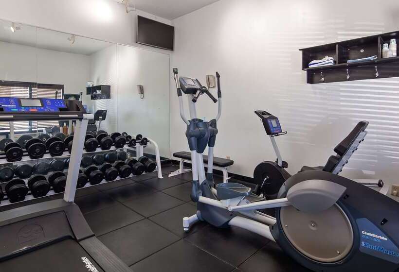 فندق Best Western Kent Narrows Inn