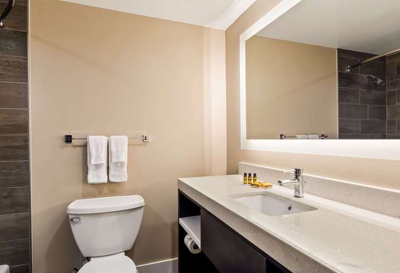 ホテル Best Western Plus Greenville I385 Inn & Suites