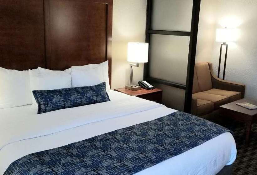 호텔 Best Western Plus Greenville I385 Inn & Suites