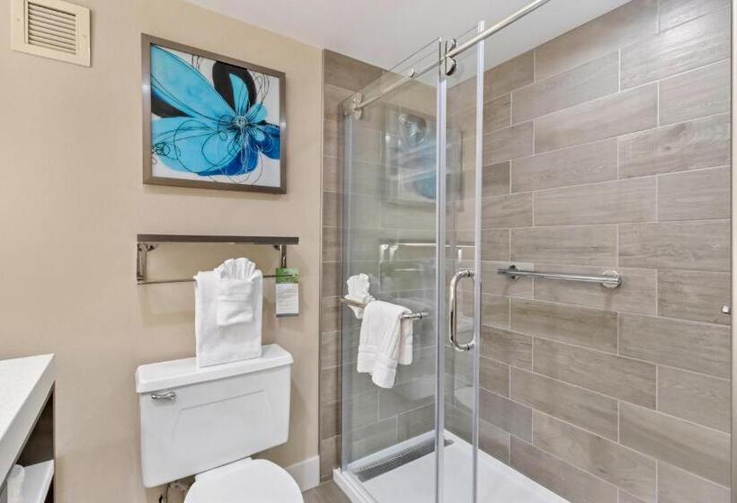 ホテル Best Western Plus Greenville I385 Inn & Suites