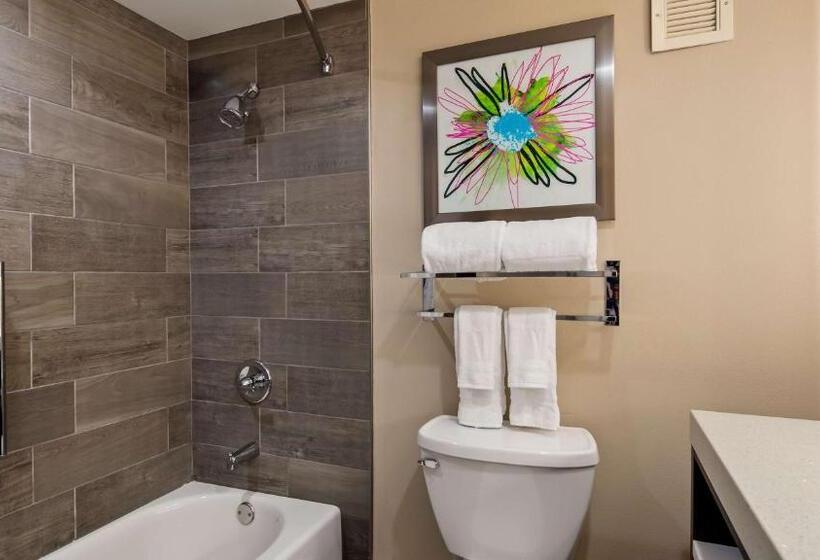 ホテル Best Western Plus Greenville I385 Inn & Suites