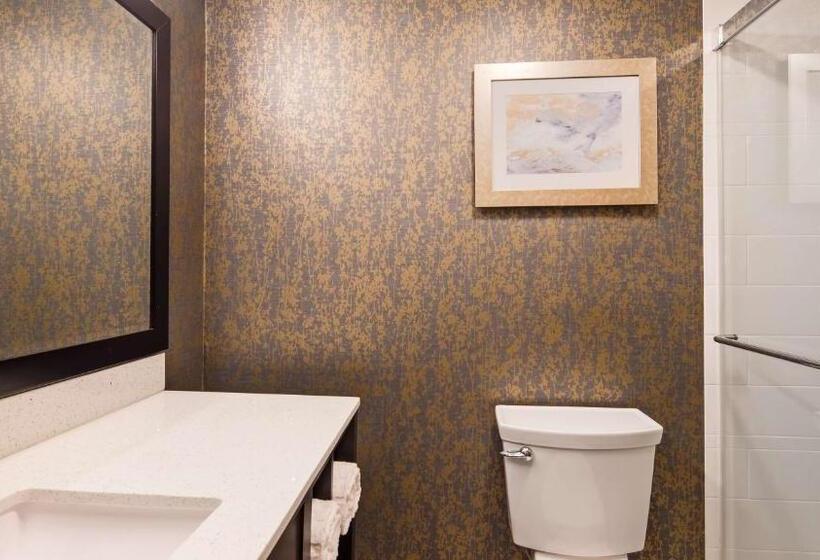 هتل Best Western Plus Landmark Inn
