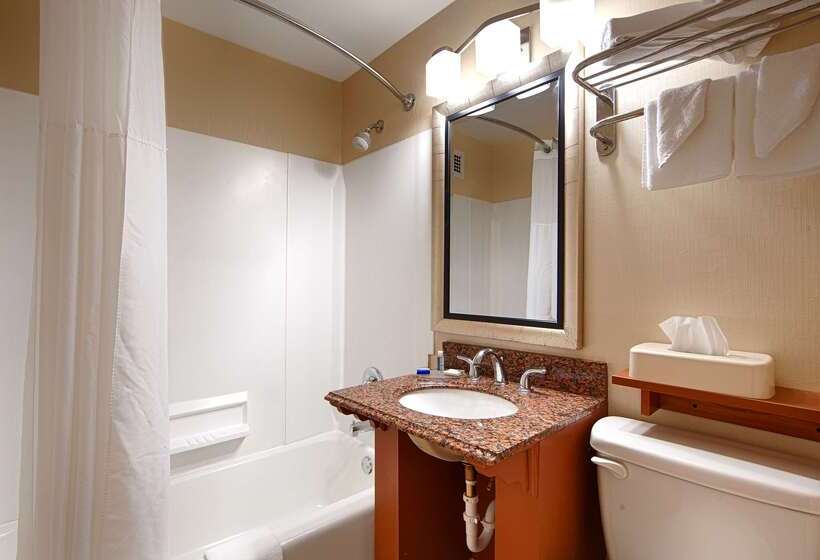 호텔 Best Western Inn At The Rochester Airport