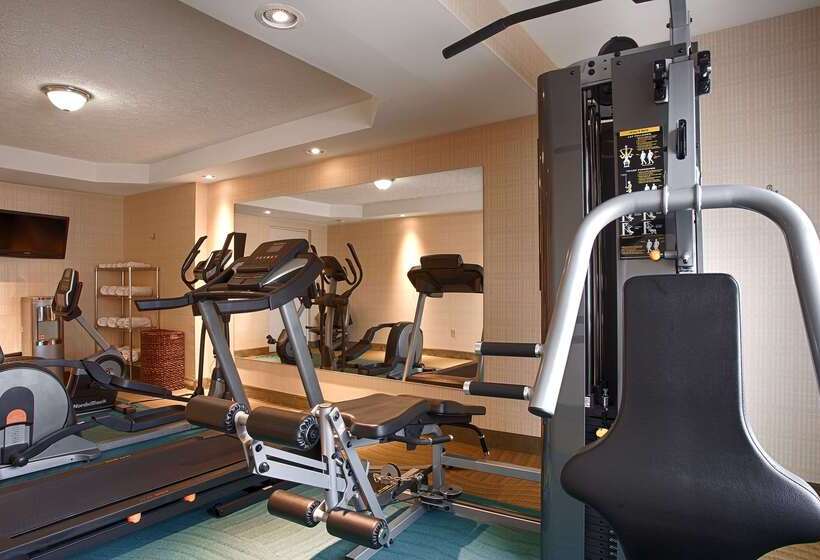 호텔 Best Western Inn At The Rochester Airport