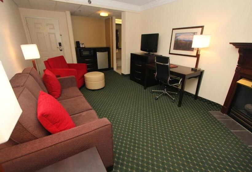 ホテル Black Bear Inn & Suites