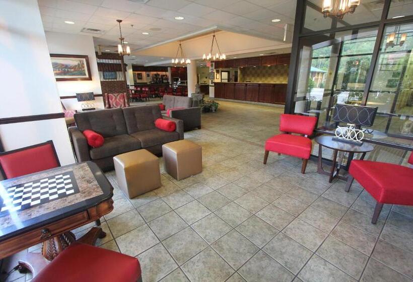 ホテル Black Bear Inn & Suites