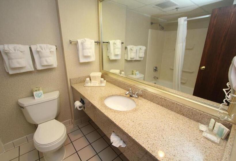 ホテル Black Bear Inn & Suites