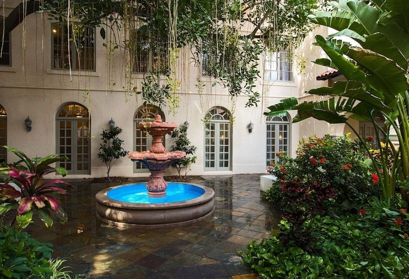 فندق Casa De Palmas, Trademark Collection By Wyndham