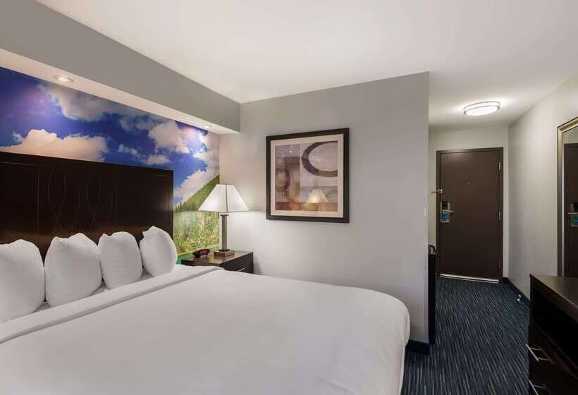 酒店 Clarion Pointe Downtown