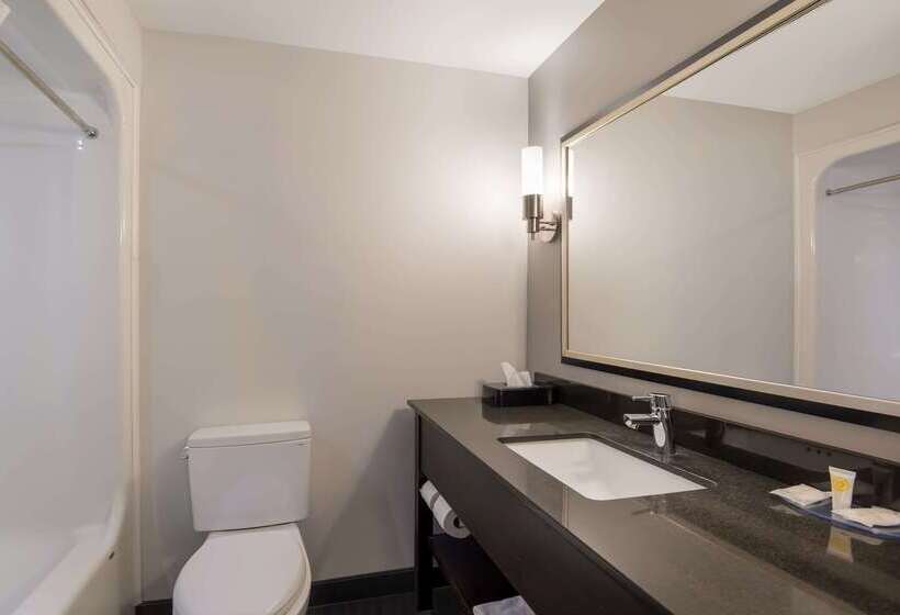 酒店 Clarion Pointe Downtown