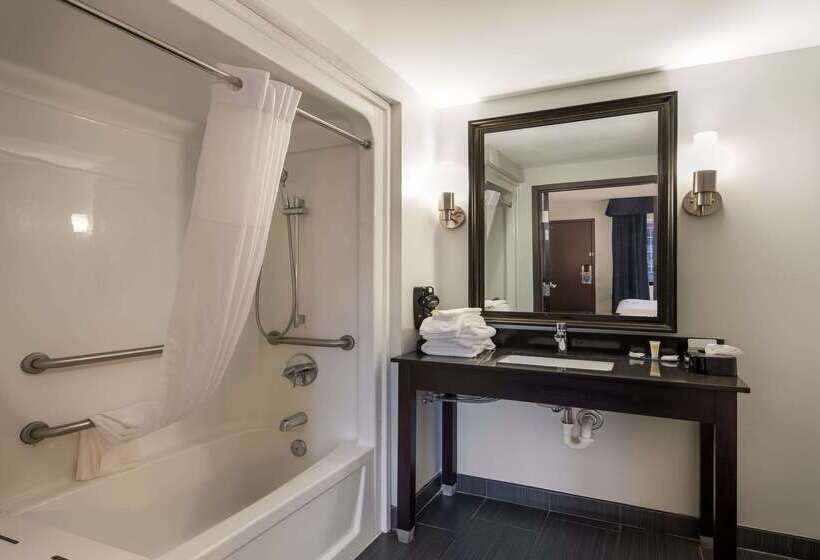 酒店 Clarion Pointe Downtown