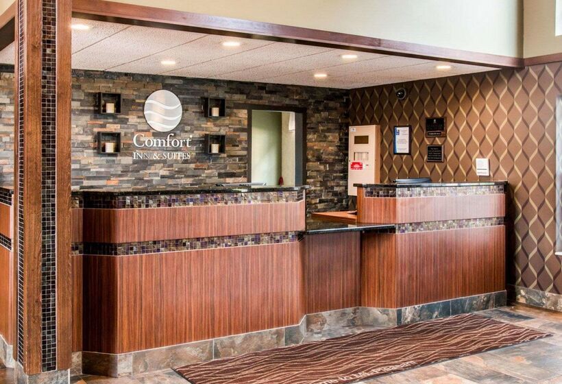 호텔 Comfort Inn & Suites And Conference Center