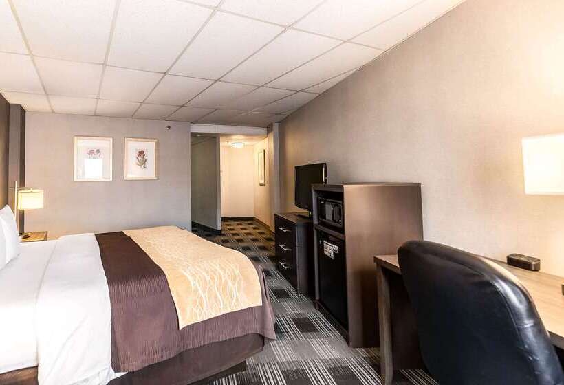 호텔 Comfort Inn Ballston