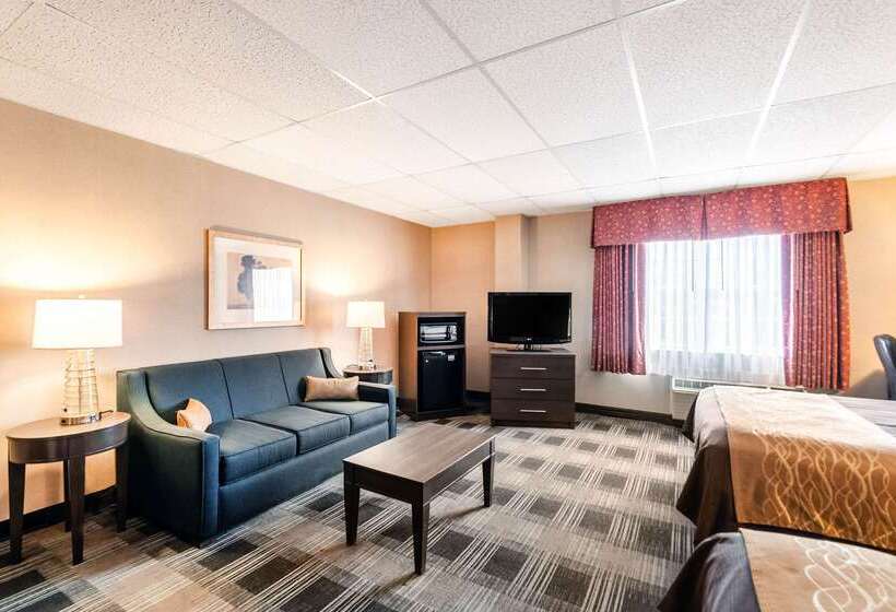 호텔 Comfort Inn Ballston