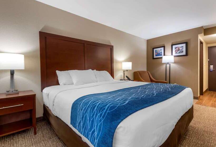 Отель Comfort Inn Binghamton I81