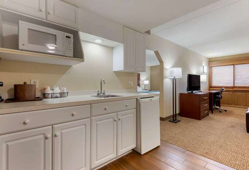 Отель Comfort Inn Binghamton I81