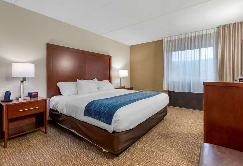Отель Comfort Inn Binghamton I81