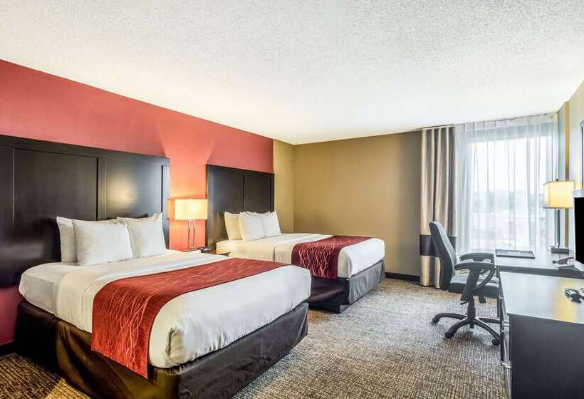 هتل Comfort Inn Convention Centerchicago O Hare Airport