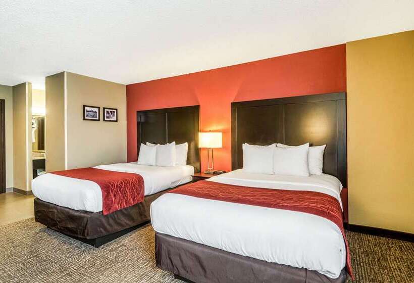 هتل Comfort Inn Convention Centerchicago O Hare Airport