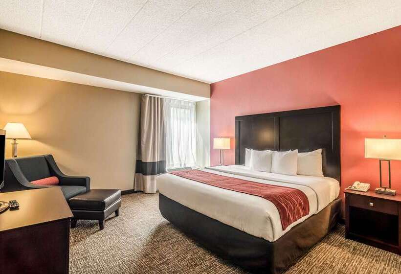 هتل Comfort Inn Convention Centerchicago O Hare Airport