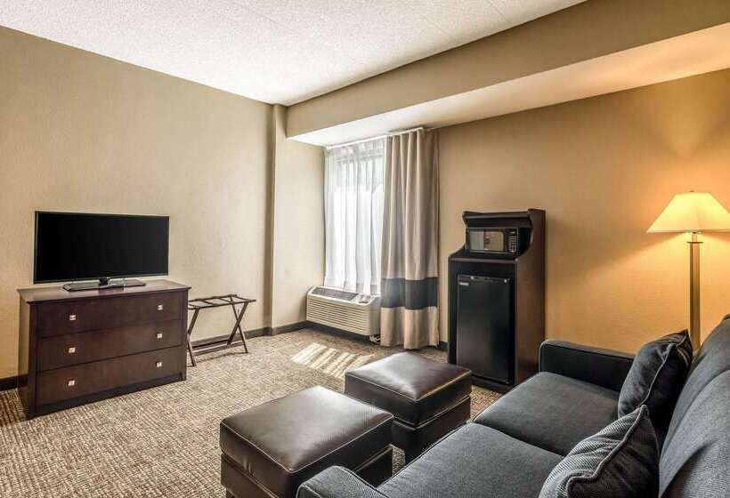 هتل Comfort Inn Convention Centerchicago O Hare Airport