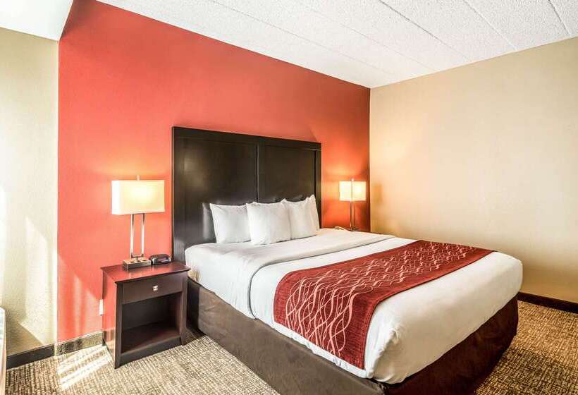 هتل Comfort Inn Convention Centerchicago O Hare Airport