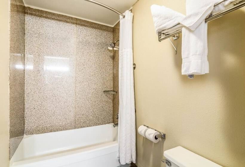 هتل Comfort Inn Convention Centerchicago O Hare Airport