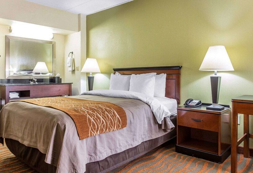 호텔 Comfort Inn