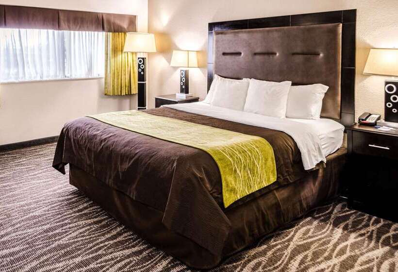 호텔 Comfort Inn Downtown Charleston