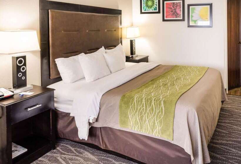فندق Comfort Inn Downtown Charleston
