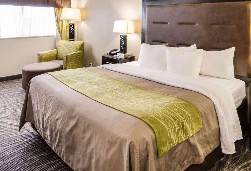 호텔 Comfort Inn Downtown Charleston