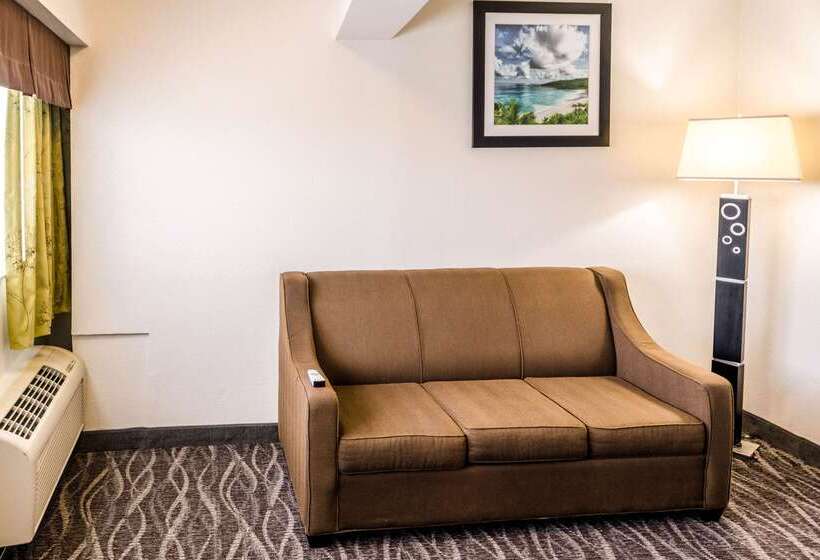 호텔 Comfort Inn Downtown Charleston