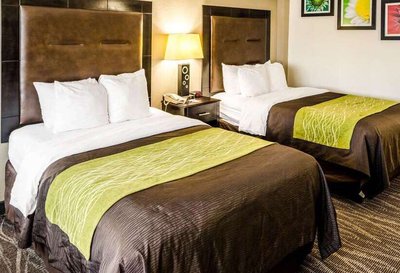 호텔 Comfort Inn Downtown Charleston