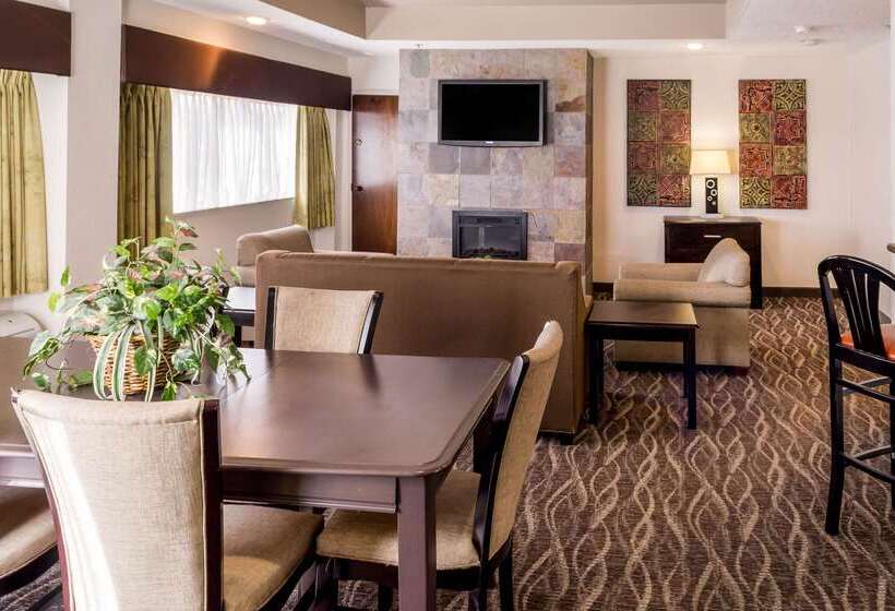 호텔 Comfort Inn Downtown Charleston