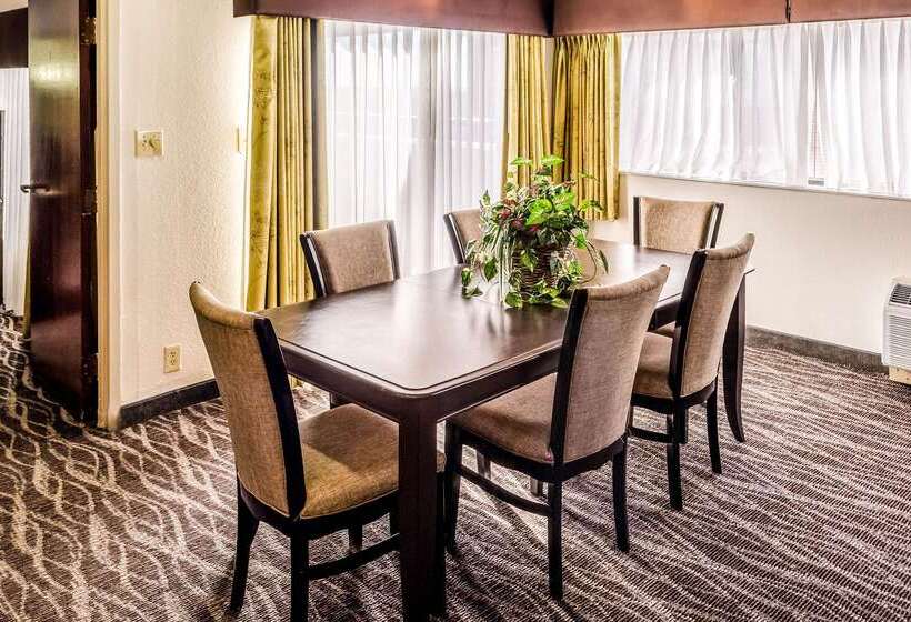 호텔 Comfort Inn Downtown Charleston