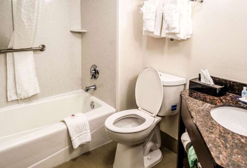 호텔 Comfort Inn Downtown Charleston