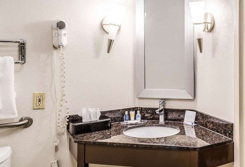 호텔 Comfort Inn Downtown Charleston