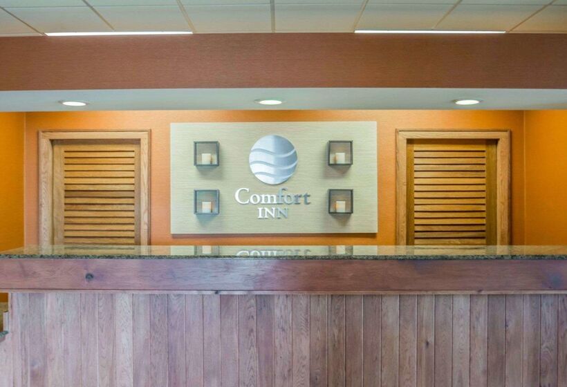 ホテル Comfort Inn   Nys Fairgrounds