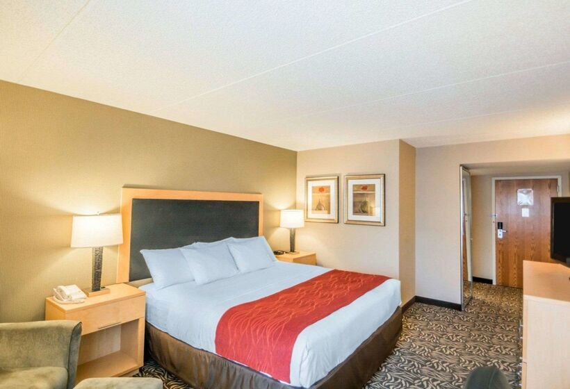 ホテル Comfort Inn   Nys Fairgrounds