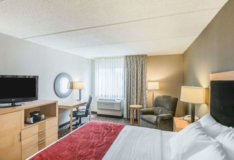 ホテル Comfort Inn   Nys Fairgrounds