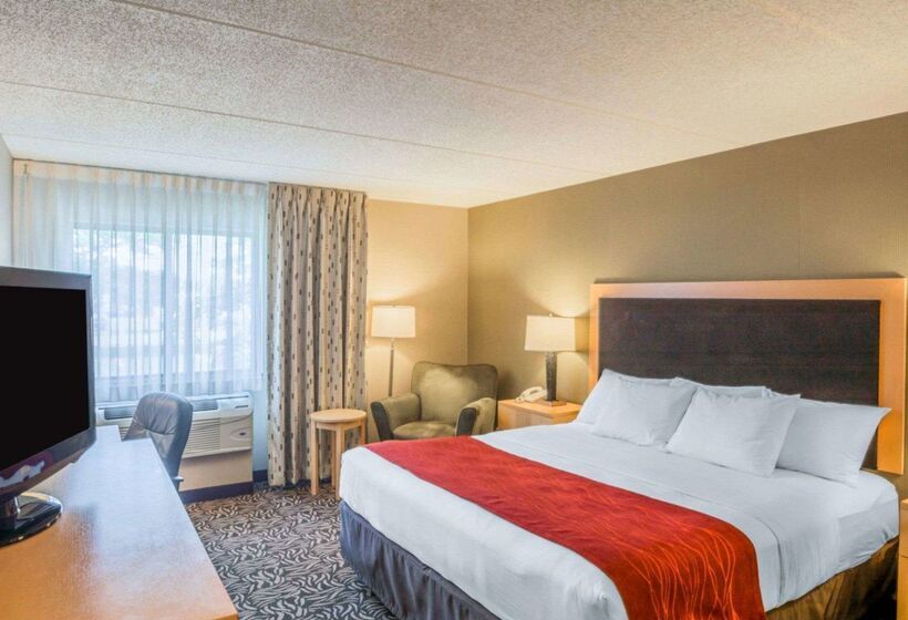 ホテル Comfort Inn   Nys Fairgrounds