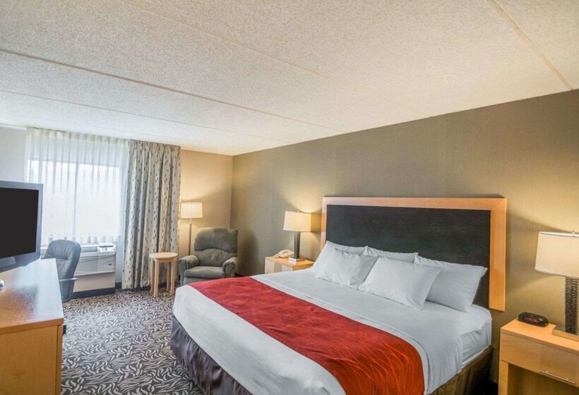 ホテル Comfort Inn   Nys Fairgrounds