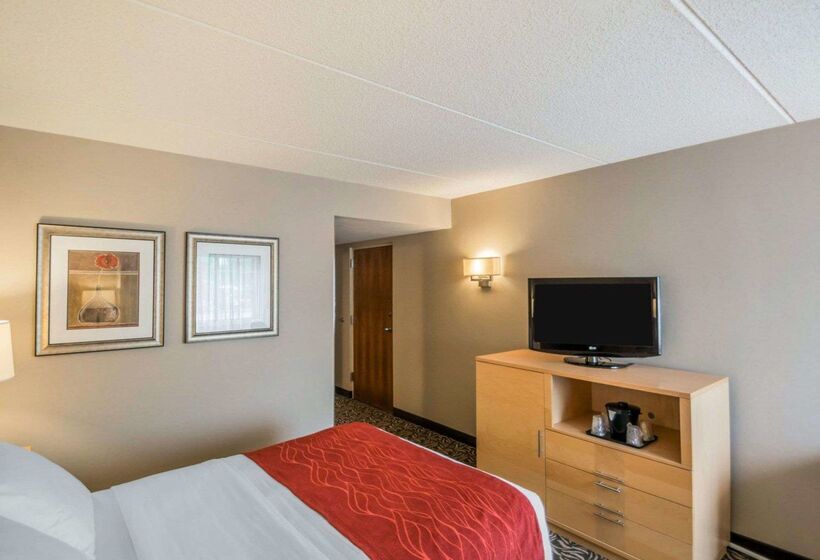 ホテル Comfort Inn   Nys Fairgrounds