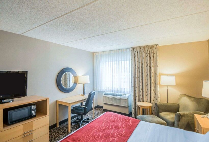 ホテル Comfort Inn   Nys Fairgrounds
