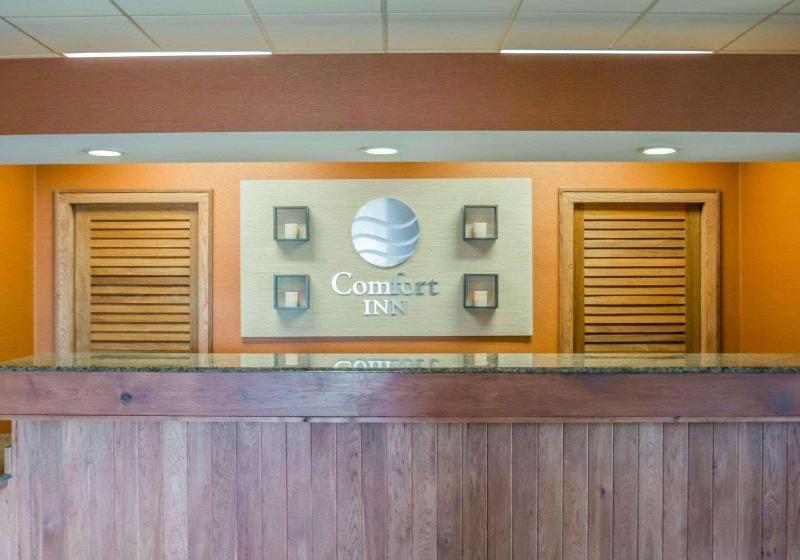 ホテル Comfort Inn   Nys Fairgrounds