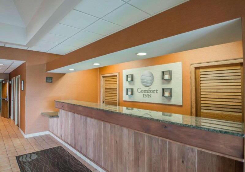 ホテル Comfort Inn   Nys Fairgrounds